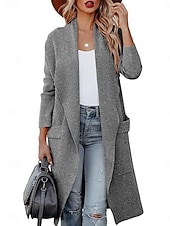 preiswerte Strickjacken und Oberbekleidung-Damen Freizeitjacke Outdoor Tasche Feste Farbe Windundurchlässig Modisch Regular Fit Oberbekleidung Langarm Herbst Blau S