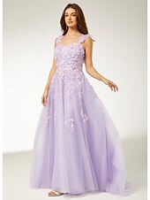 cheap Prom Dresses-A-Line Prom Dresses Elegant Dress Formal Sweep / Brush Train Sleeveless Floor Length Sweetheart Tulle with Pleats Sequin Appliques 2025