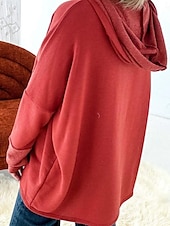 preiswerte Texturierte Kapuzenpullover &amp; Sweatshirts-Damen Pullover mit Kapuze Sweatshirt Glatt Brautkleider schlicht Langarm Mit Kapuze Normale Oberteile Strasse Alltagskleidung Knopf Rote Hell Gray Dunkelgray Frühling Herbst