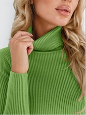abordables Couleurs unies-Femme Pull Chandail Décontractées Flexible Couleur monochrome A côtes Col Roulé Tricoté manche longue Hauts réguliers Tricoter Extérieur du quotidien Fin de semaine Noir Blanche Automne Hiver
