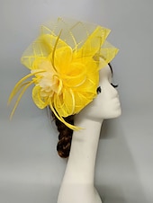 billige Coiffer-fascinators Nett slørhatt Bryllup Damenes dag Med Fjær Kronblader Hodeplagg Hodeplagg
