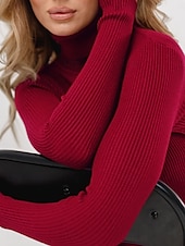abordables Couleurs unies-Femme Pull Chandail Décontractées Flexible Couleur monochrome A côtes Col Roulé Tricoté manche longue Hauts réguliers Tricoter Extérieur du quotidien Fin de semaine Noir Blanche Automne Hiver