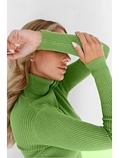 abordables Couleurs unies-Femme Pull Chandail Décontractées Flexible Couleur monochrome A côtes Col Roulé Tricoté manche longue Hauts réguliers Tricoter Extérieur du quotidien Fin de semaine Noir Blanche Automne Hiver