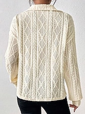 preiswerte Spitzenoberteile-Damen Weiß Elegante Spitze Tops Augenschlitze Bluse Legere Schlichte Reguläre Tops Langarm Hemdkragen Spitze Reguläre Passform Arbeit Alltag Romantische Petite Tops Sommer Urlaubsbekleidung Beige