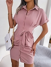 ieftine Rochii Business-Pentru femei Rochie Mini Rochii Tip Cămașă Rochie casual Rochie de vară Stilat Casual Vacanță Zilnic Dată Fit regulat Simplu Manșon scurt Rever Roz Îmbujorat Roșu-aprins Albastru piscină Var