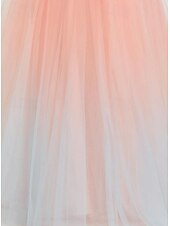 cheap Prom Dresses-Pink Ball Gown A-Line Prom Dresses Elegant Dress Formal Wedding Floor Length Sleeveless V Neck Tulle with Shouder Flower 2025