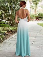 preiswerte Bodenlänge-A-Linien Kleid Mutter der Braut Elegant Halterneck Bodenlang Abnehmbar Chiffon Ärmellos mit Raffung
