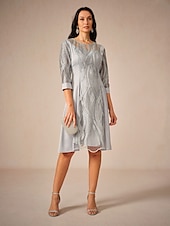 preiswerte abendkleider-Damen Minikleid Spitzenkleid Elegant kleid hochzeitsgast Verabredung Regular Fit Feste Farbe 3/4 Ärmel Rundhalsausschnitt Grau Sommer
