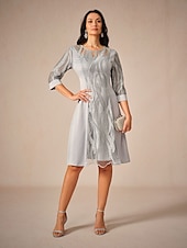 preiswerte abendkleider-Damen Minikleid Spitzenkleid Elegant kleid hochzeitsgast Verabredung Regular Fit Feste Farbe 3/4 Ärmel Rundhalsausschnitt Grau Sommer