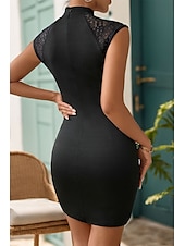 ieftine Bodycon Club Dresses-Pentru femei Rochie Mini Rochie Cheongsam Modă Vacanță Ieșire Sfârșit de săptămână Fit regulat Simplu Fără manșon Guler de stand Negru Vară