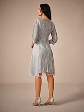 preiswerte abendkleider-Damen Minikleid Spitzenkleid Elegant kleid hochzeitsgast Verabredung Regular Fit Feste Farbe 3/4 Ärmel Rundhalsausschnitt Grau Sommer