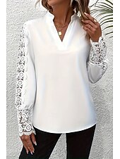 levne Krajkové topy-Dámské Košile Bez vzoru Denní stylové Na běžné nošení Dlouhý rukáv Do V Běžné topy Denní Dovolená Jdeme ven Krajka Černá Bílá Vodní modrá Jaro