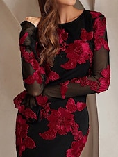 cheap FLORALS-Floral Lace Applique A-Line Evening Gown Elegant Dress Semi Formal Wedding Guest Dress Floor Length Flared Long Sleeve Crew Neck