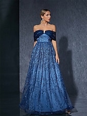 levne Plesové šaty-A-Linie Šaty Quinceanera Společenské Šaty Svatební Svatební Hosté Dlouhé Bez Rukávů Vypasované Šaty Polyester Bez Záduší S Vyšíváním