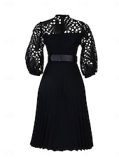 abordables Robes en dentelle blanche-Femmes Robe Midi Robe trapèze Robe Plissée Fête cocktail Robes semi-formelles Soirée Coupe régulière Couleur Unie manche longue Col montant Noir Blanche Rose Claire Été Printemps