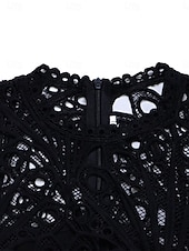 abordables Robes en dentelle blanche-Femmes Robe Midi Robe trapèze Robe Plissée Fête cocktail Robes semi-formelles Soirée Coupe régulière Couleur Unie manche longue Col montant Noir Blanche Rose Claire Été Printemps