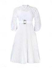 abordables Robes en dentelle blanche-Femmes Robe Midi Robe trapèze Robe Plissée Fête cocktail Robes semi-formelles Soirée Coupe régulière Couleur Unie manche longue Col montant Noir Blanche Rose Claire Été Printemps