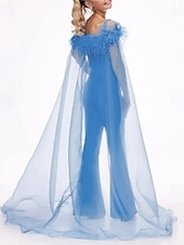 economico Abiti da damigella-Completo Due Pezzi con Strascico  Strascico da Spazzola Abito di Piume Abito da Damigella Abito Compleanno Ragazze Carino Abito di Prom in Chiffon con Piume  Pelliccia Taglia 3-16 Anni abito per