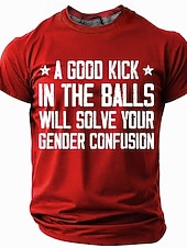  Men's Short Sleeve T-Shirt with 'A Good Kick In The Balls Will Solve Your Gender Confusion' Graphic Print, Crew Neck Casual Top