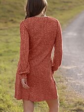 economico Abiti in maglia-Per donna Mini Abito Abito in maglia Casual Casuale Vestibilità regolare Semplice Manica Lunga Scollo a V Nero Marrone Verde Grigio Autunno Inverno