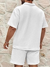 abordables Polo geométrico para hombre-Hombre Camisetas polo polo con cremallera Exterior Ropa Cotidiana Diseño Manga Corta Moda Hawaiano Bloque de color Rayas Cremallera Verano Ajuste regular Blanco Rosa Azul Real Azul Camisetas polo