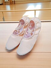 economico Scarpe da danza classica-scarpette da ballo da donna in tela rosa - scarpe da allenamento professionali con cinturini elastici per l&#039;allenamento in studio e le esibizioni