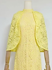 abordables JAUNE-Sirène / Trompette Robe de Soirée Élégant Robe Formel Mariage Longueur au sol Manche Courte Col haut Dentelle avec Châle 2025