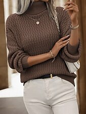 cheap Solid Colors-Women&#039;s Sweater Pullover Casual Solid Color Chunky Turtleneck Knitted Long Sleeve Regular Tops Knit Outdoor Home Holiday Brown Dark Gray Fall