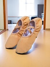 economico Scarpe da danza classica-scarpette da ballo da donna in tela rosa - scarpe da allenamento professionali con cinturini elastici per l&#039;allenamento in studio e le esibizioni