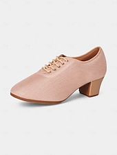 cheap Dance Sneakers-Women&#039;s Mesh Lace-Up Ballroom Dance Shoes with Low Heel, Breathable Professional Practice Footwear for Latin and Waltz Performance