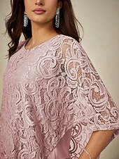 preiswerte Elegante Oberteile-Damen Bluse Elegante Oberteile Einfach Elegant Halbarm Rundhalsausschnitt Normale Oberteile Hochzeitsgast Täglich Spitze Patchwork Geschichtet Erröten Sie Rosa Sommer Frühling