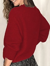 abordables Hauts en dentelle-Femmes Haut d&#039;épissage en dentelle Couleur Unie Élégant Occasionnel manche longue Col en V Hauts Réguliers Quotidien Dentelle Patchwork Noir Blanche Rose Claire Vin Gris Été Printemps