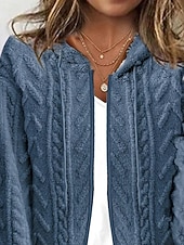 preiswerte Freizeitjacken-Damen Strickjacke Lässig Einfarbig Grobstrick Mit Kapuze Reißverschluss Gestrickt Langarm Normale Oberteile Stricken Ferien Ausgehen Blau Herbst Winter