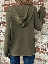 abordables Sweats à capuche-Femmes Chemisier Couleur Unie Élégant Occasionnel manche longue À capuche Hauts Réguliers Quotidien Boutons Noir Vert Véronèse bleu marine Bleu Marron Printemps Automne Hiver