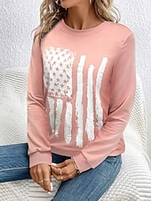 ieftine Magazin grafic Sweatshirts &amp; Hanorace-Pentru femei Hanorac pulover Grafic Dungi Casual Manșon Lung Stil Nautic Topuri obișnuite Casă Stradă Zilnice Imprimeu Alb Roz Îmbujorat Albastru piscină Maro Gri Vară Primăvară Toamnă Iarnă