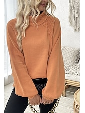 billiga Solida färger-Dam Tröja Elegant Ledigt Mjukt Ren färg Ribbad Polokrage Stickat Långärmad Vanliga toppar Sticka Utomhus Dagligen Helgen Orange Höst Vinter