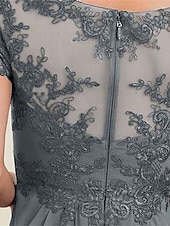 abordables Longueur du plancher-Ligne A Robe de Mère de Mariée  Élégant Simple Col en V Longueur au sol Chiffon Manche Courte avec Couleur Unie 2025