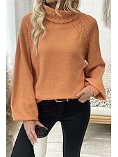 billiga Solida färger-Dam Tröja Elegant Ledigt Mjukt Ren färg Ribbad Polokrage Stickat Långärmad Vanliga toppar Sticka Utomhus Dagligen Helgen Orange Höst Vinter