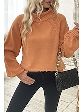billiga Solida färger-Dam Tröja Elegant Ledigt Mjukt Ren färg Ribbad Polokrage Stickat Långärmad Vanliga toppar Sticka Utomhus Dagligen Helgen Orange Höst Vinter