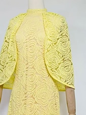 abordables JAUNE-Sirène / Trompette Robe de Soirée Élégant Robe Formel Mariage Longueur au sol Manche Courte Col haut Dentelle avec Châle 2025