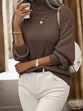 cheap Solid Colors-Women&#039;s Sweater Pullover Casual Solid Color Chunky Turtleneck Knitted Long Sleeve Regular Tops Knit Outdoor Home Holiday Brown Dark Gray Fall