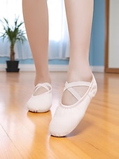 economico Scarpe da danza classica-scarpette da ballo da donna in tela rosa - scarpe da allenamento professionali con cinturini elastici per l&#039;allenamento in studio e le esibizioni