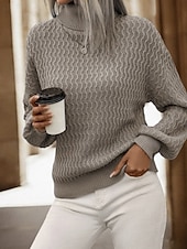 cheap Solid Colors-Women&#039;s Sweater Pullover Casual Solid Color Chunky Turtleneck Knitted Long Sleeve Regular Tops Knit Outdoor Home Holiday Brown Dark Gray Fall
