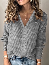 abordables Hauts en dentelle-Femmes Haut d&#039;épissage en dentelle Couleur Unie Élégant Occasionnel manche longue Col en V Hauts Réguliers Quotidien Dentelle Patchwork Noir Blanche Rose Claire Vin Gris Été Printemps