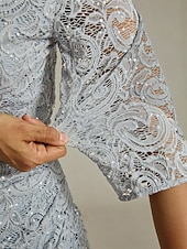 levne Dámské svrchní oděvy-Dámské Krajková košile Elegantní Denní Večírek Tričkový Světle šedá Léto Jaro Podzim