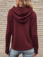 economico Top Semplici-Per donna Felpa con cappuccio Semplice Casual Manica Lunga Con Cappuccio Top Regolari Streetwear Abbigliamento Quotidiano Nero Vino Marrone Grigio Autunno Inverno