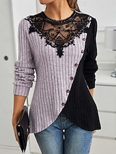 abordables Tops de Encaje-Mujer Blusa Encaje Retazos Color sólido Elegante Básico Casual Manga Larga Cuello Barco Tops regulares Diario Verde Ejército Púrpula Claro Gris Claro Primavera Otoño Invierno