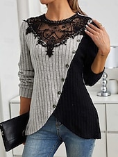 abordables Tops de Encaje-Mujer Blusa Encaje Retazos Color sólido Elegante Básico Casual Manga Larga Cuello Barco Tops regulares Diario Verde Ejército Púrpula Claro Gris Claro Primavera Otoño Invierno