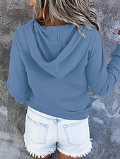 Χαμηλού Κόστους Απλές φούτερ-Γυναικεία Φούτερ πουλόβερ με κουκούλα και πουλόβερ Σκέτο Καθημερινό Μακρυμάνικο Με Κουκούλα Κανονικά μπλουζάκια Θαλασσί Μαύρο Ρουμπίνι Βυσσινί Πράσινο του τριφυλλιού Άνοιξη Φθινόπωρο