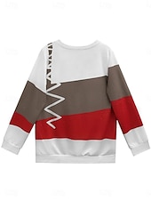 cheap Stripe&amp;Geometric Tops-Women&#039;s Pullover Sweatshirt Zip Up Sweatshirts Graphic Geometric Abstract Fashion Casual Long Sleeve Crew Neck Regular Tops Street Dailywear Zipper Print Red Fall Winter